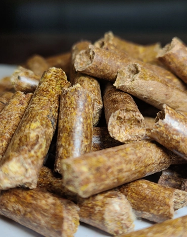 Mustard straw crush pellet producing by 132kw 560 pellet machine in Pakistan