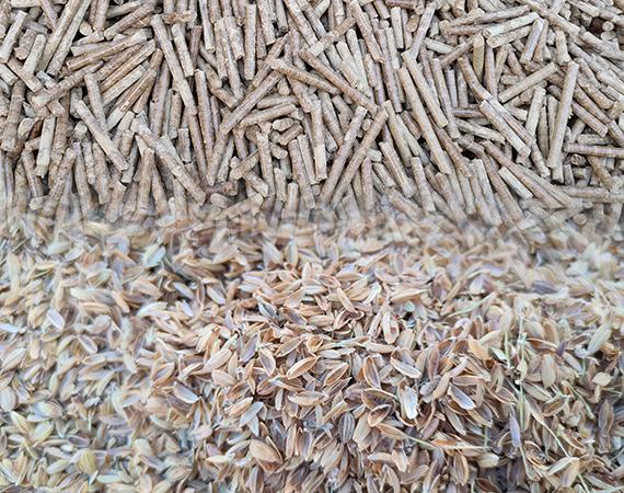 Why and how to make biomass pellet by rice husk?